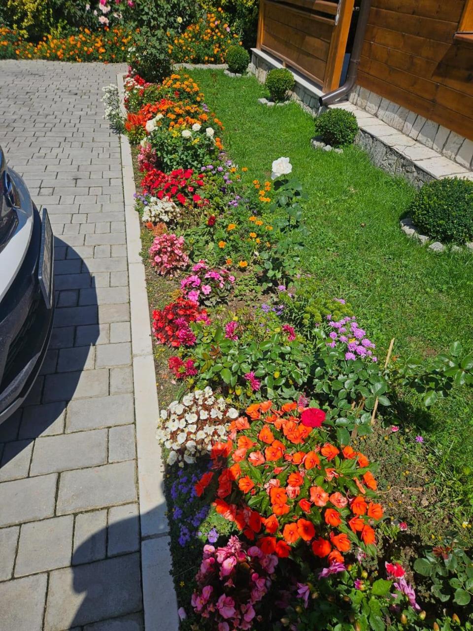 Guesthouse Sandra Kolašin Zewnętrze zdjęcie